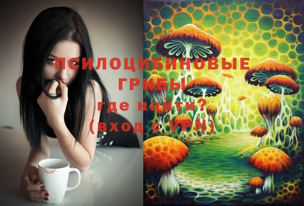 стаф Нягань
