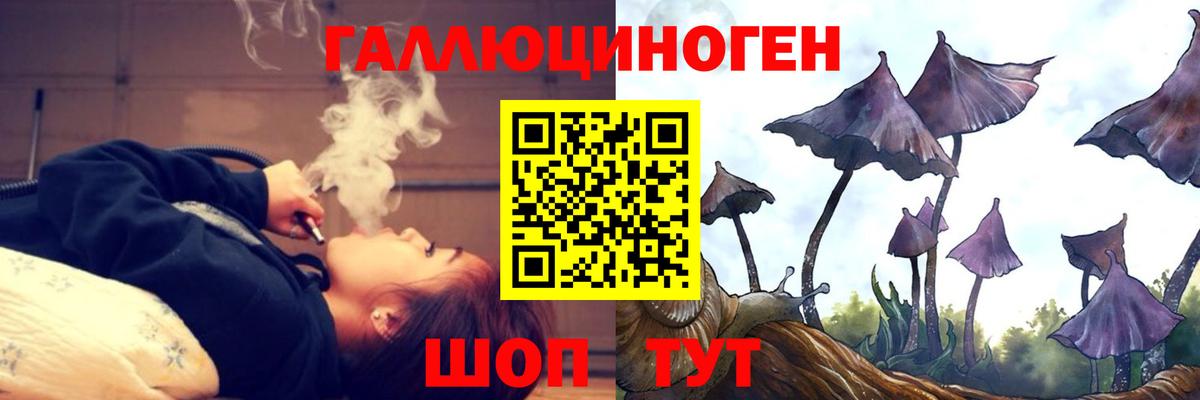 Галлюциногенные грибы Magic Shrooms  Вход с VPN  Мурманск  Галлюциногенные грибы MAGIC MUSHROOMS 